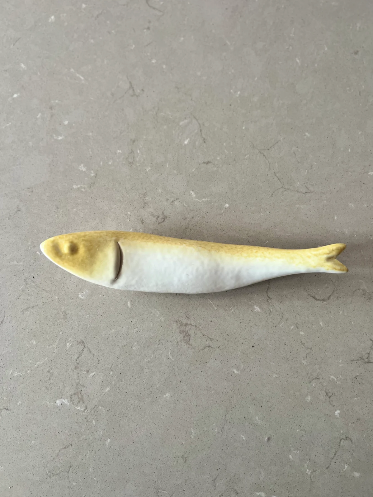 Gul vægfisk