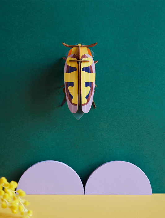 Mango Flower Beetle // vægkunst