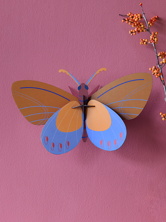 Ochre Costa Butterfly // vægkunst